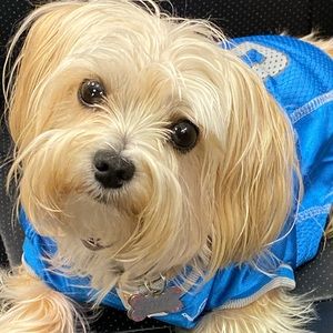 Meet your Posher, Tina